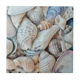 Azulejo Funky Sea Shells Holiday Seaside