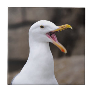 Azulejo FUNNY Seagull