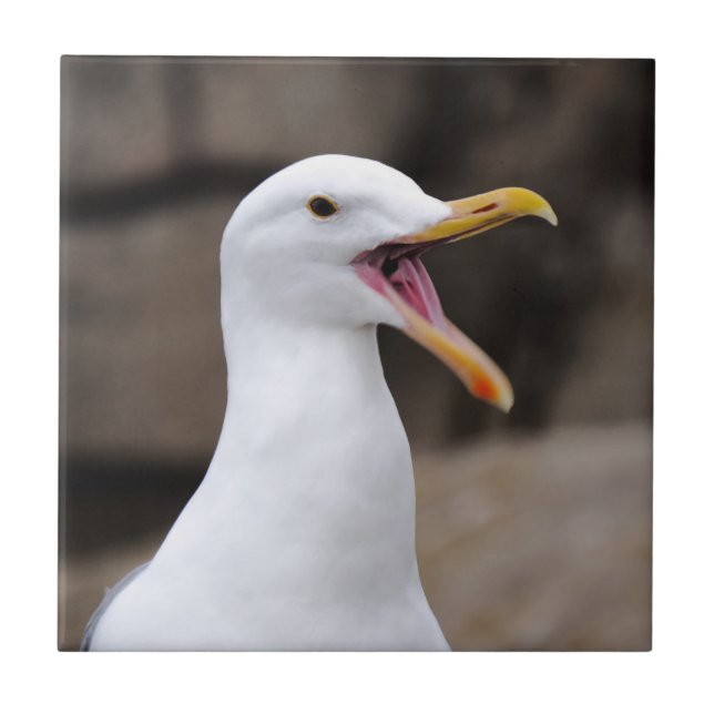 Azulejo FUNNY Seagull (Frente)