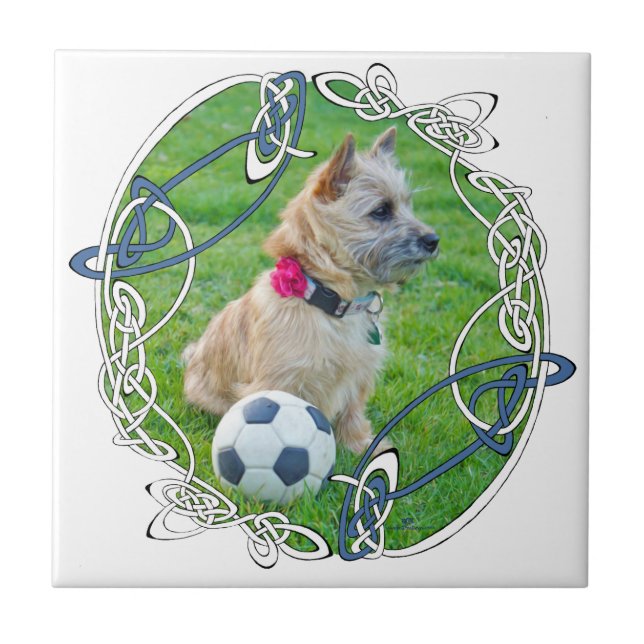Azulejo Fútbol de Terrier Cairn (Frente)