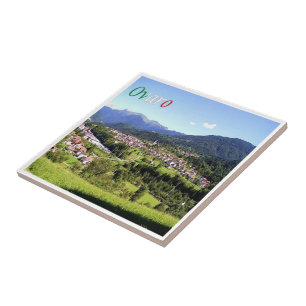 Azulejo FVG011 OVARO Panorama, Italia,