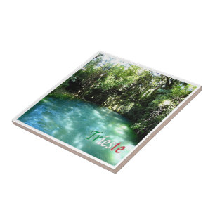 Azulejo FVG016 TRIESTE, Risordo del Timavo,