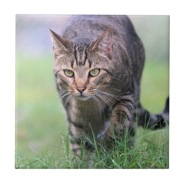 Azulejo Gabe (Frente)