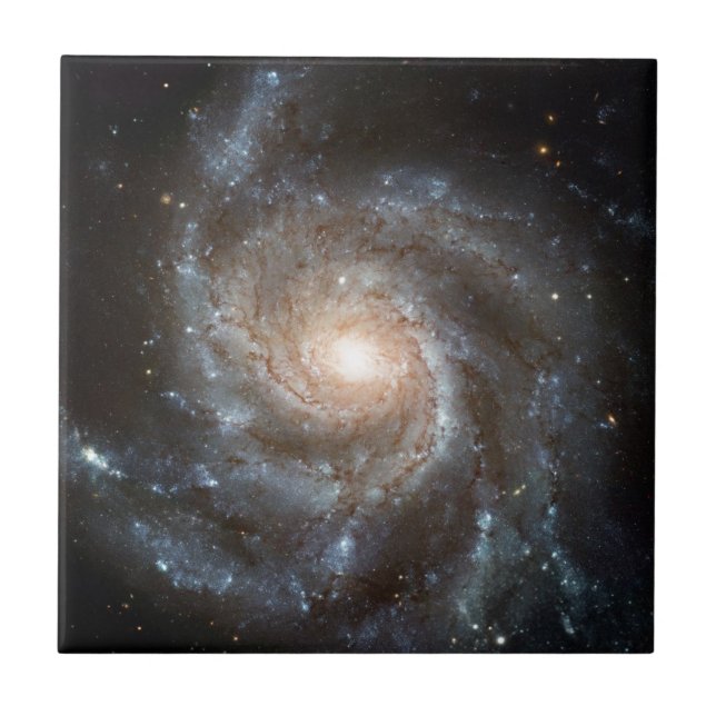 Azulejo Galaxia de rosca Telescopio Hubble Fotografía del  (Frente)