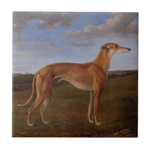 Azulejo Galgo