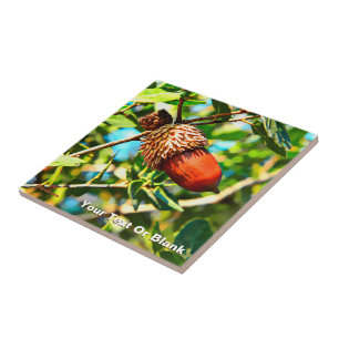 Azulejo Galilee Acorn