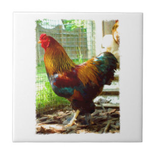 Azulejo Gallo colorido