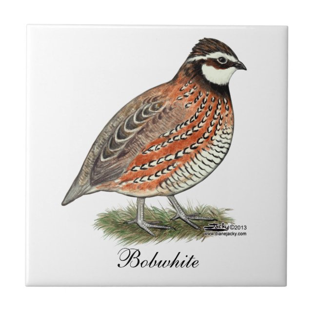 Azulejo Gallo de las codornices (Frente)