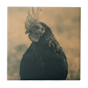 Azulejo Gallo en sepia