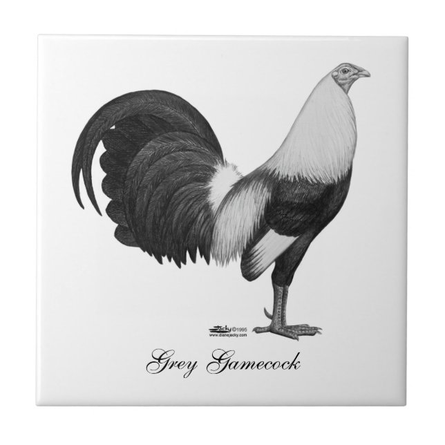 Azulejo Gallo Gris Duckwing (Frente)