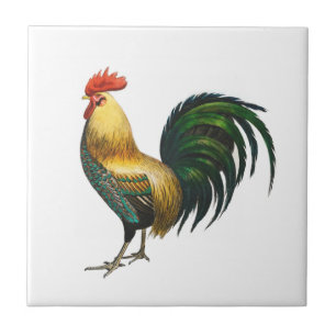 Azulejo Gallo país clásico estiloso tradicional ave  
