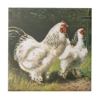 Azulejo Gallo y gallina
