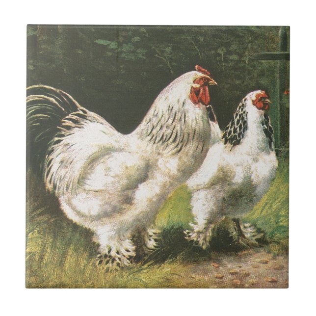 Azulejo Gallo y gallina (Frente)