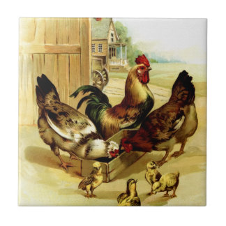 Azulejo Gallos de pollo y chichas