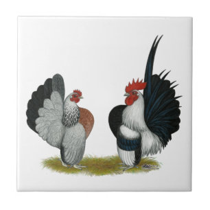 Azulejo Gallos de Serama