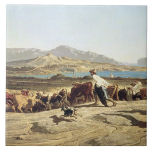 Azulejo Ganado que reúne cerca de Marsella, 1853 (aceite