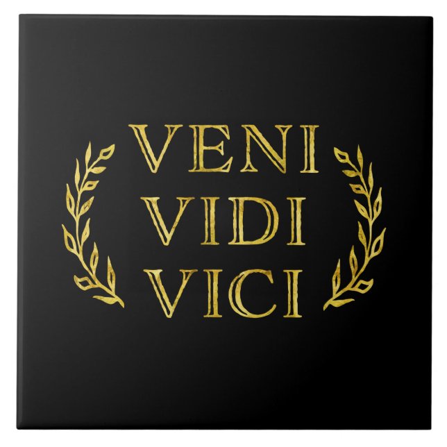 Azulejo Ganador divertido del juego de Veni Vidi Vici (Frente)