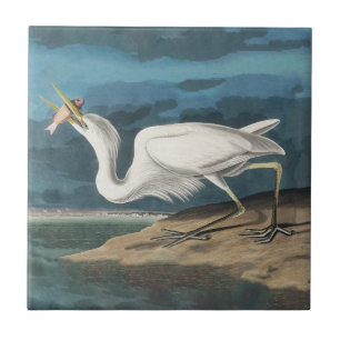 Azulejo Garza Blanca Grande de Audubon: Ave Costera Vintag