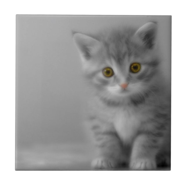 Azulejo Gatito dulce (Frente)