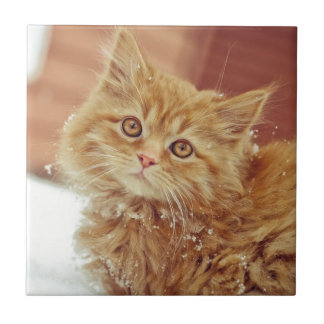 Azulejo Gatito en nieve