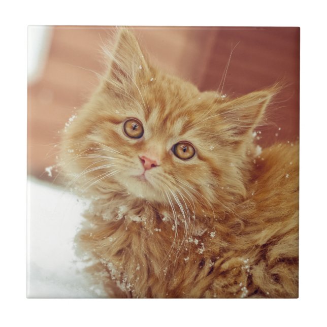 Azulejo Gatito en nieve (Frente)