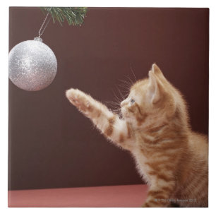 Azulejo Gatito que juega con la chuchería del navidad en