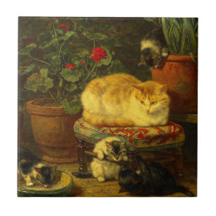 Azulejo Gatitos en juego