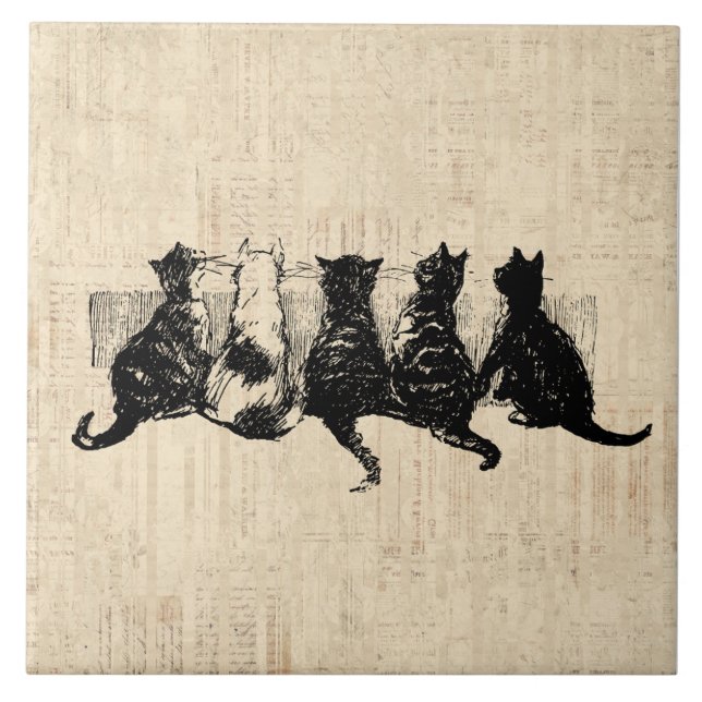 Azulejo Gatitos ilustrados con fondo de guión de Tan (Frente)