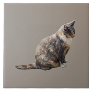 Azulejo Gato atigrado en tonos marrones