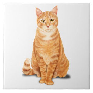 Azulejo Gato Atigrado Naranja Jengibre Personalizado