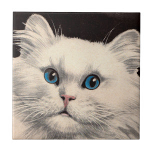 Azulejo gato blanco con ojos azules