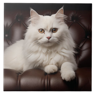 Azulejo Gato blanco majestuoso