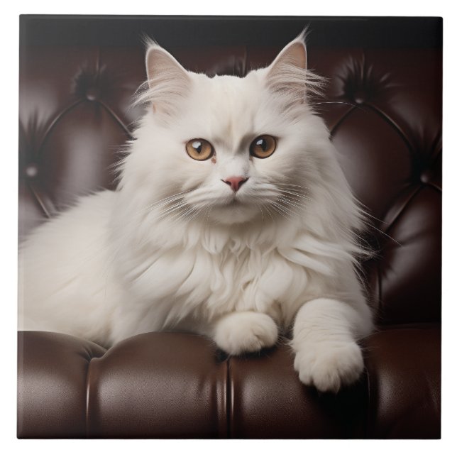 Azulejo Gato blanco majestuoso (Frente)