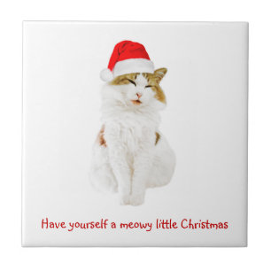 Azulejo Gato con el Gorra de Santa