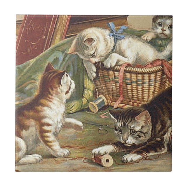 Azulejo Gato curioso de la CAMISETA (Frente)