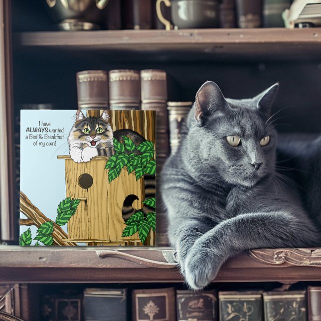 Azulejo Gato de desayuno tipo alojamiento (Subido por el creador)