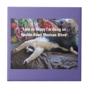 Azulejo Gato de esmoquin divertido lindo Ola mexicana gato