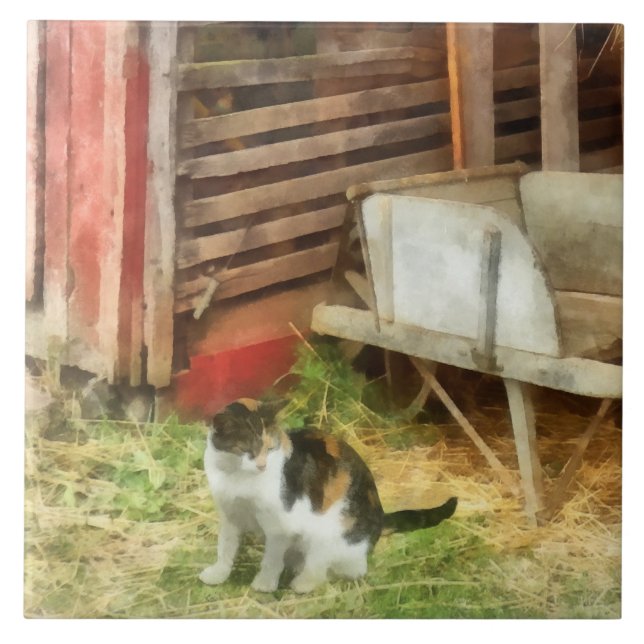 Azulejo Gato de granja (Frente)