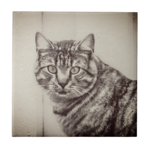 Azulejo Gato de grano Sepia Marrón Animales Tile de cerámi