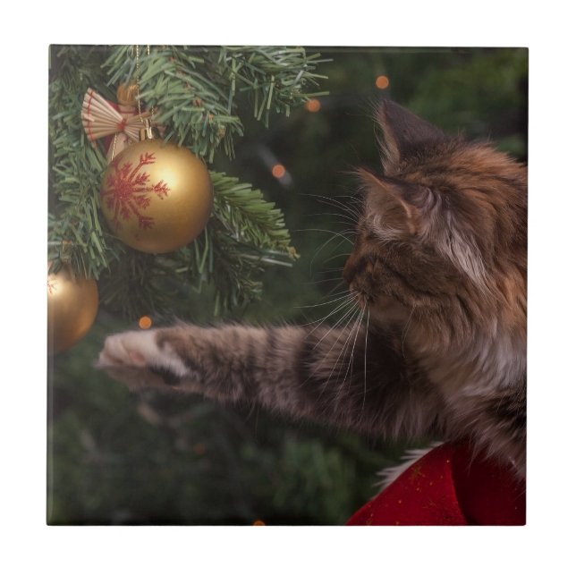 Azulejo Gato de navidades (Frente)