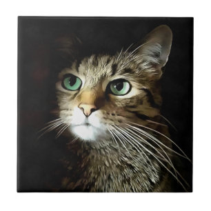 Azulejo Gato De Tabby Con Ojos Verdes Aislados En Negro