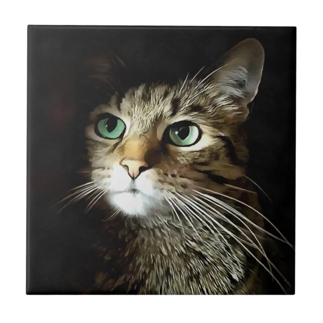Azulejo Gato De Tabby Con Ojos Verdes Aislados En Negro (Frente)