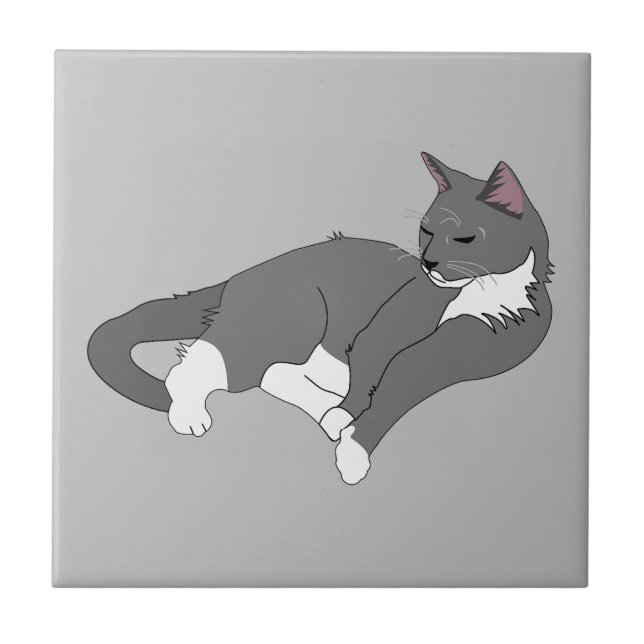 Azulejo Gato de Tuxedo Gris y Blanco (Frente)