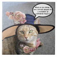 GATO ELEGANTE CON DIVA GORRA, ROSES DE ROSA ROSA D