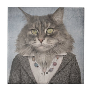Azulejo Gato en ropa