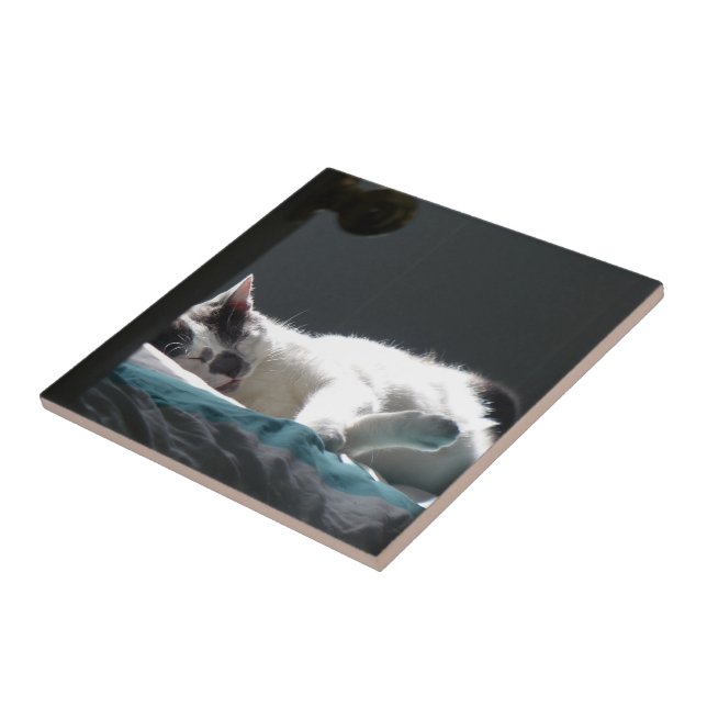 Azulejo Gato en Sunspot No molestar (Lado)