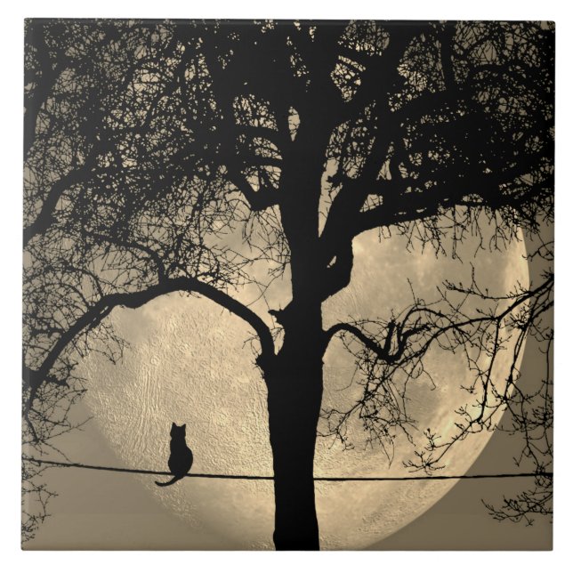 Azulejo Gato en una luna llena de cable (Frente)
