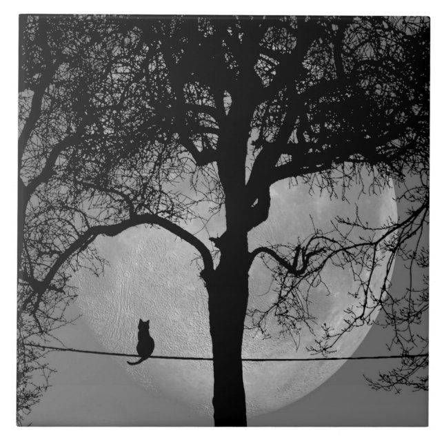 Azulejo Gato en una luna llena de cable (Frente)