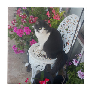 Azulejo Gato esmoquin lindo con flores bonitas Gatos negro