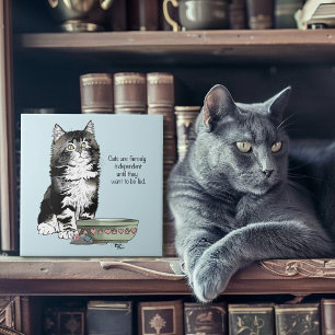 Azulejo Gato Gris Tabby Independiente Azul Divertido y Lin